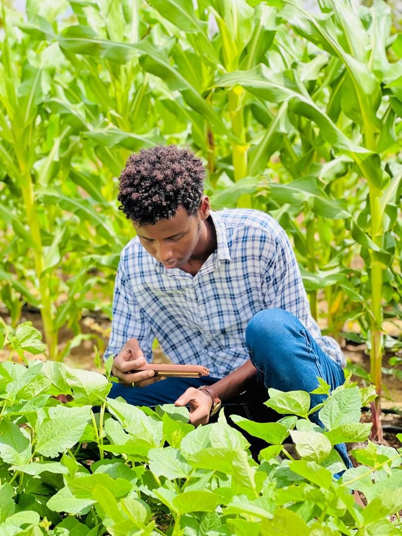 The NextGen of Agriculture Fellowship