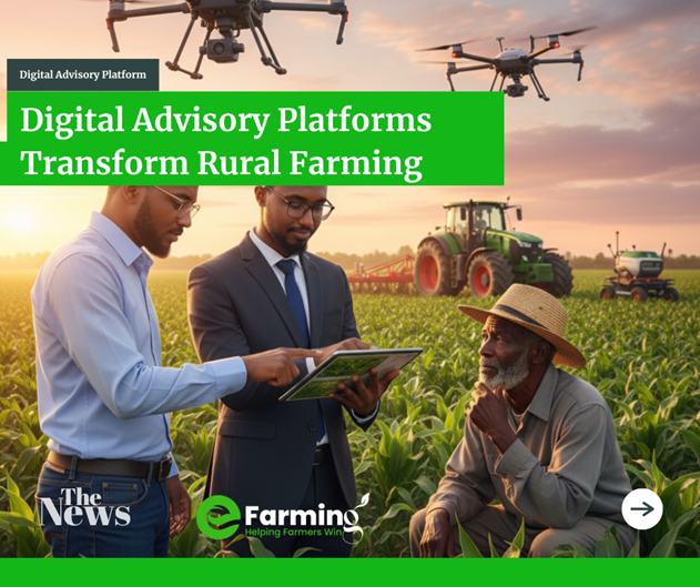 Digital Advisory Platforms Transform Rural Farming
