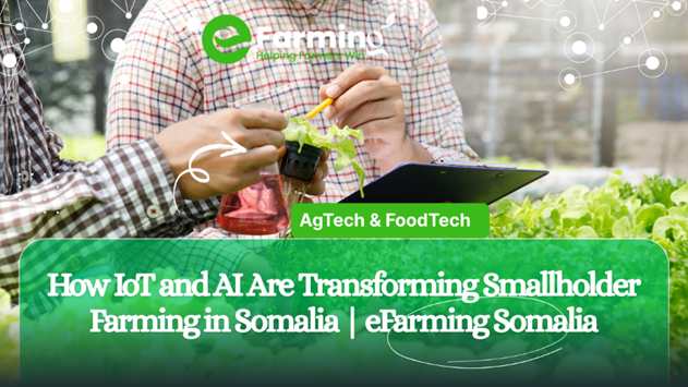 How IoT and AI Are Transforming Smallholder Farming in Somalia