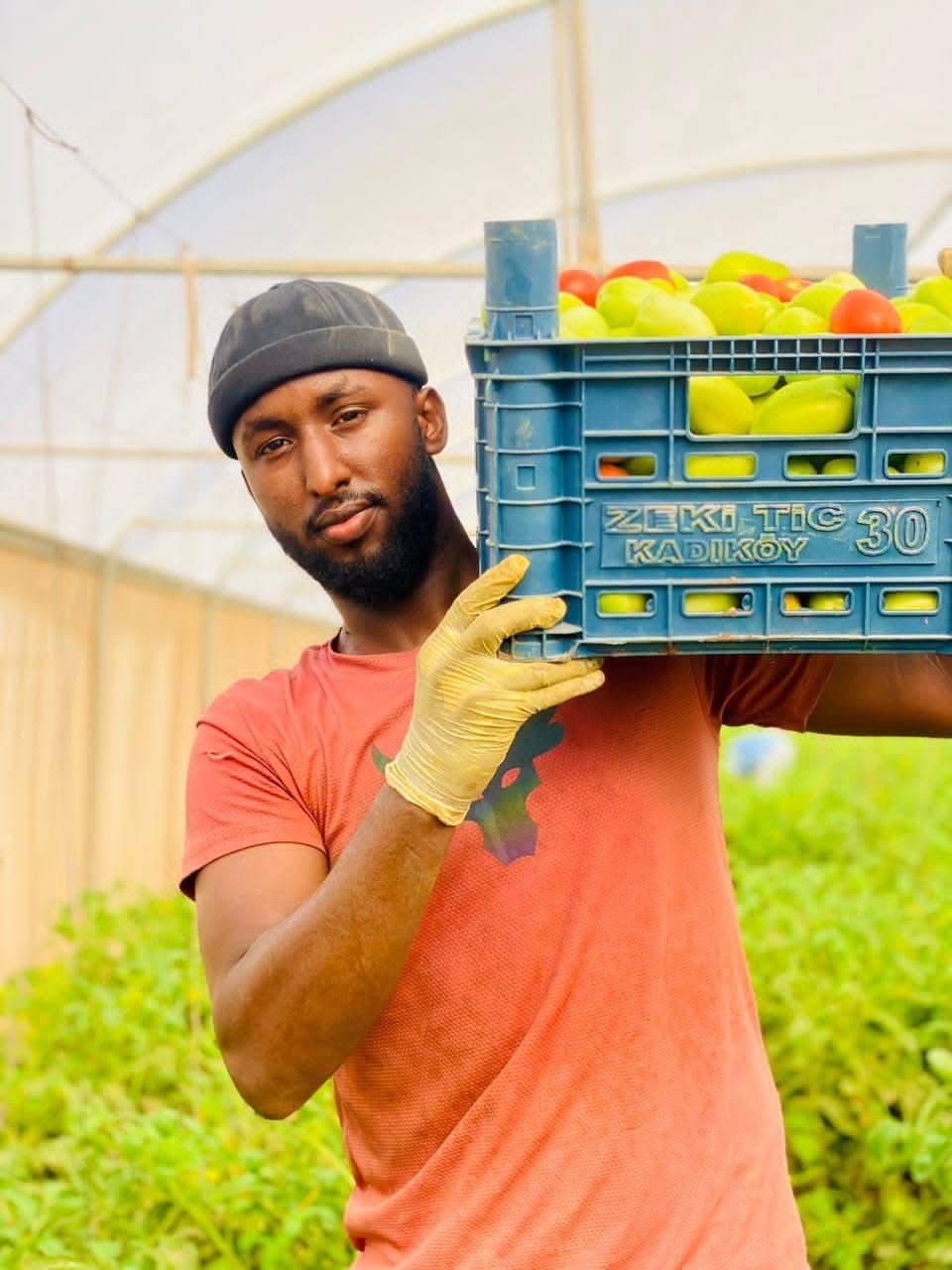 Market Access & Value Chain Linkage Project