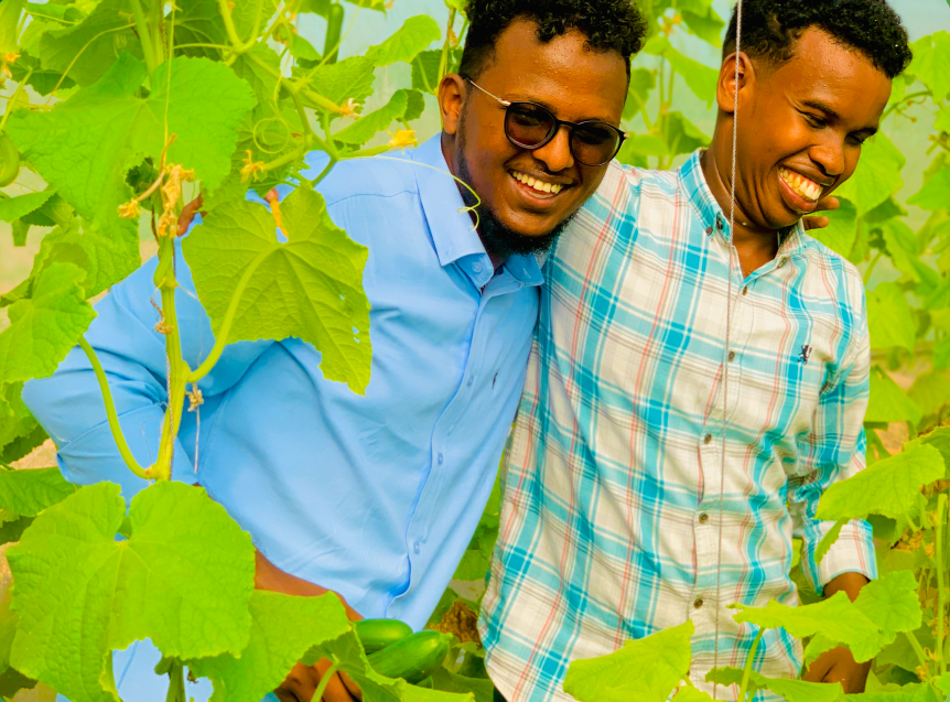 Farmers using tablet